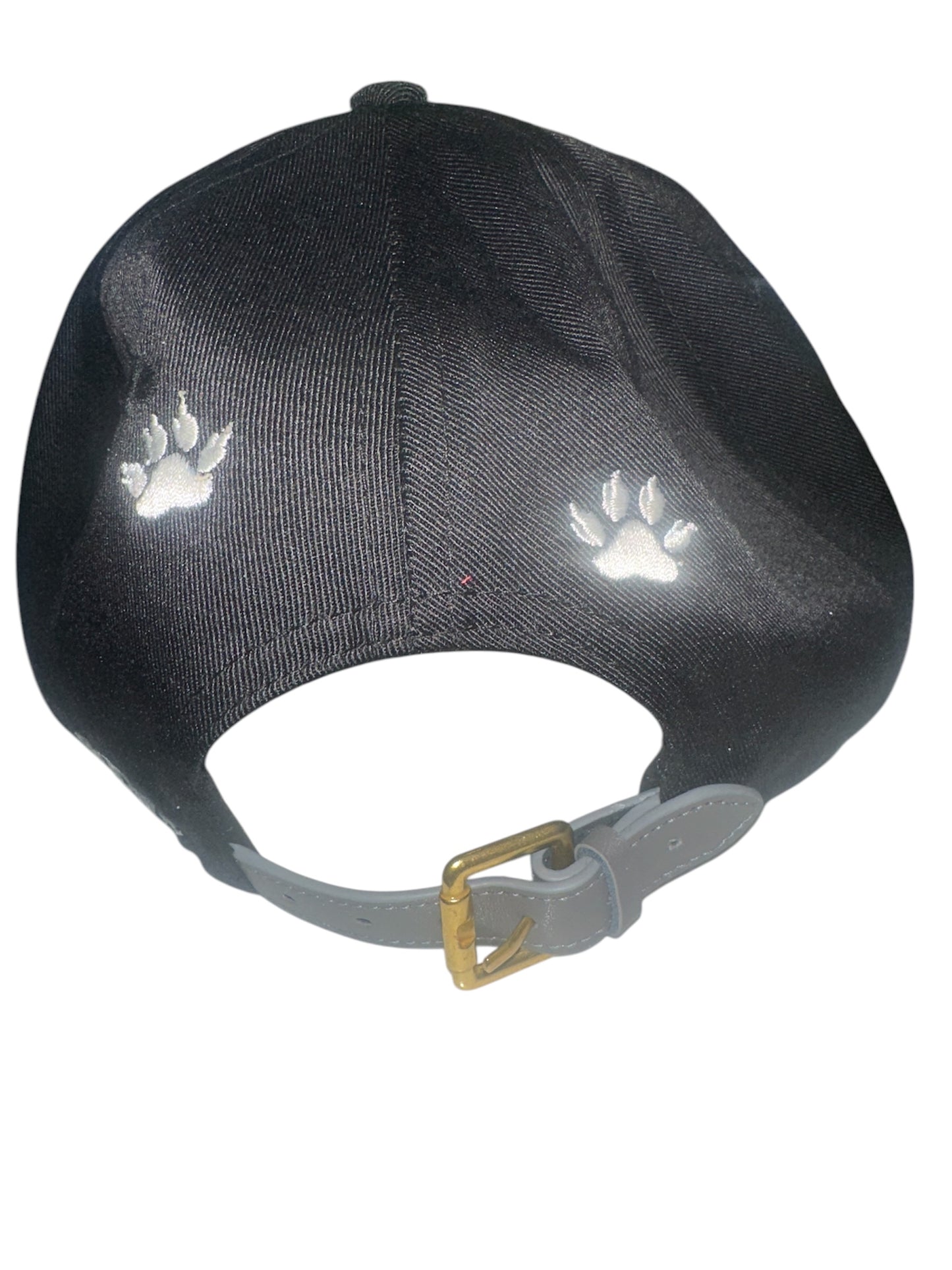 G. Dane “Rare” Snapback